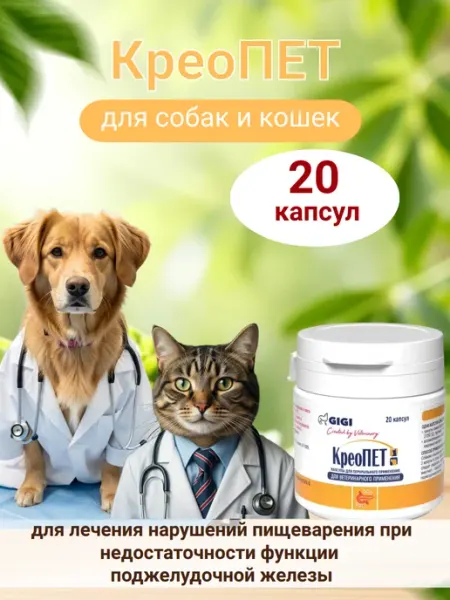 КреоПЕТ Капсулы для улучшения пищеварения собак и кошек, 20… GIGI pets