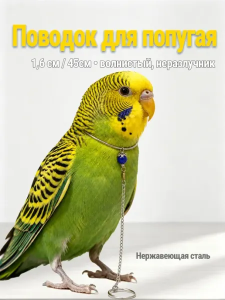 Поводок для волнистого попугая 1,6см, 45см сталь
