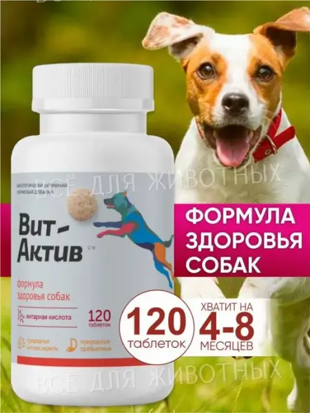 Витаминно-минеральный комплекс для собак для иммунитета Вит-Актив