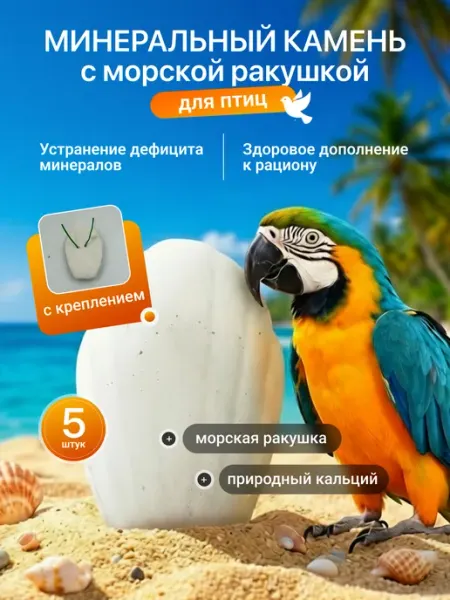Минеральный камень с морской ракушкой для птиц 5шт