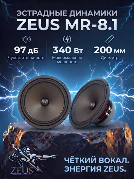 Динамики эстрадные 20см автомобильные MR-8.1 Zeus