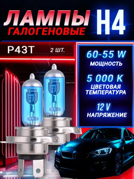 Автомобильные лампы H4 Xenon, 5000K, белые 2 шт Rich car