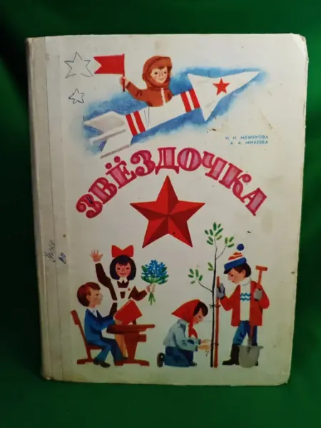 Книга Звездочка Пятница