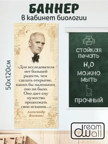 Плакат-баннер в кабинет биологии Флеминг 50*120 см Dream Wall