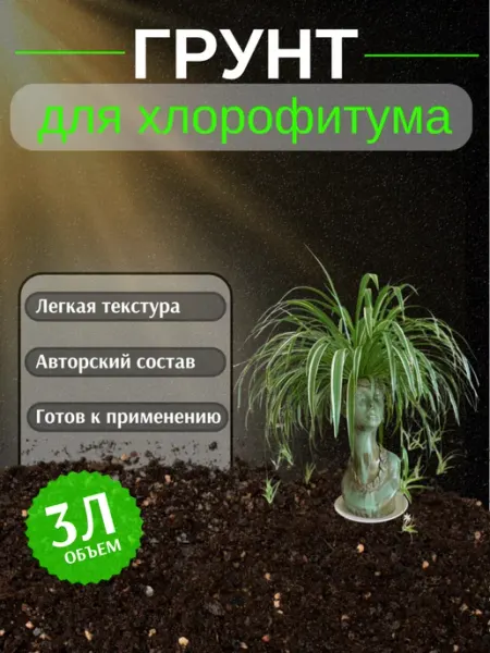 Грунт для Хлорофитума 3 л