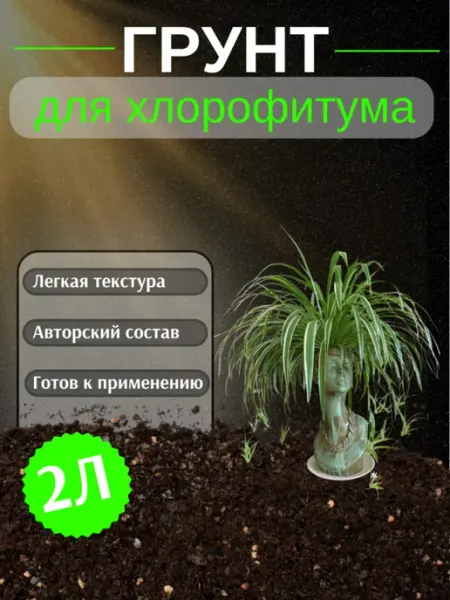 Грунт для Хлорофитума 2 л
