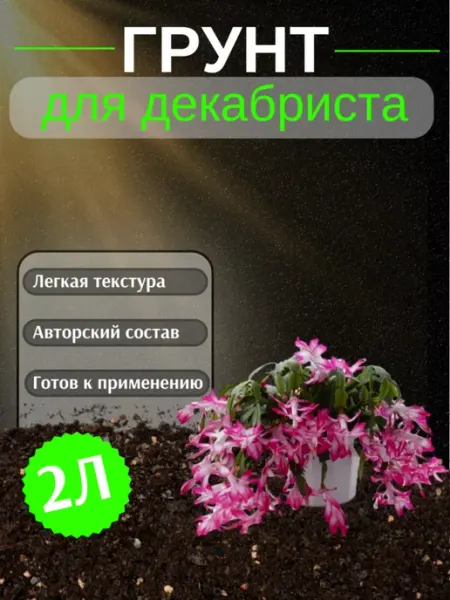 Грунт для Декабриста 2 л