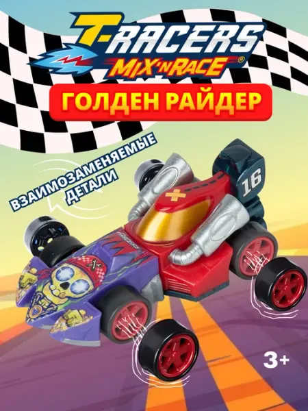 Машинка для мальчика разборная Голден райдер T-RACERS