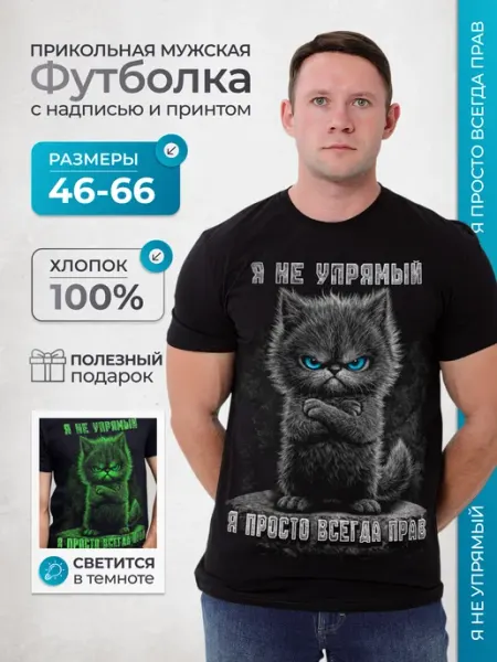 Прикол футболка с принтом и надписью для мужчин МИР МАЕК