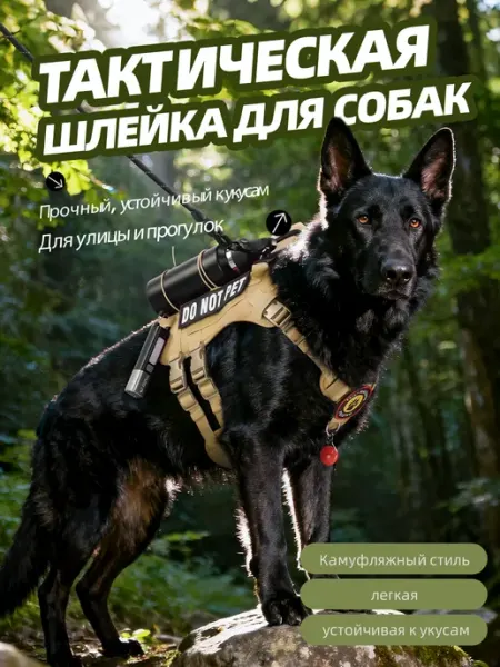 Тактическая многофункциональная шлейка для собак DUOMM