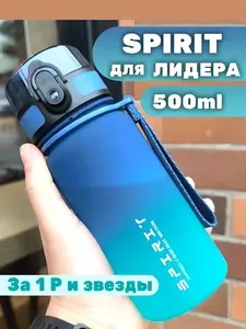 Спортивная бутылка для воды SPIRIT, 500 мл