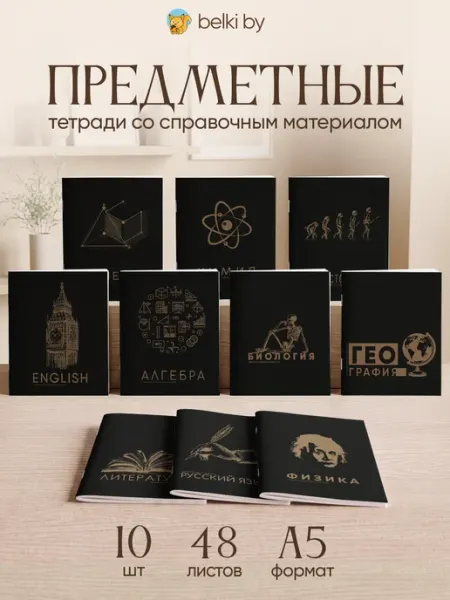 Набор школьные тетради предметные 48 листов Belki Art