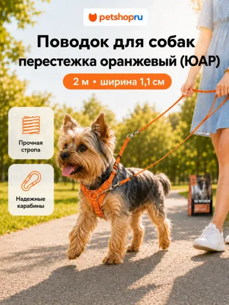 Поводок для кошек и собак Рогз, 1,1х180 см, оранжевый PetShop