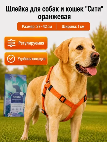 Шлейка Сити XXS оранжевая 10мм, ОШ 30-35см, ОГ 37-42см Yami-Yami