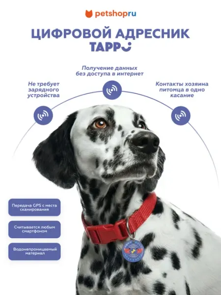 Цифровой адресник для собак синий 3х3 см Tappi PetShop