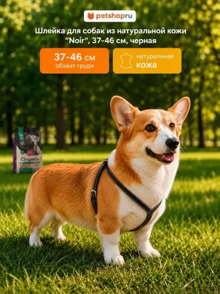 Шлейка для собак из натуральной кожи 37-46 см Лелап PetShop