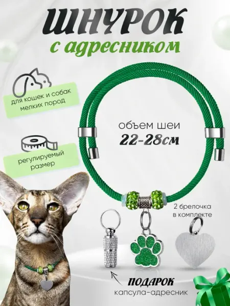 Ошейник шнурок для кошек и мелких собак с адресником Балуем Котика