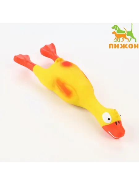 Игрушка для собак Утка Пижон