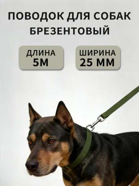 Поводок для собак, 5 м, профессиональный, усиленный, ремень