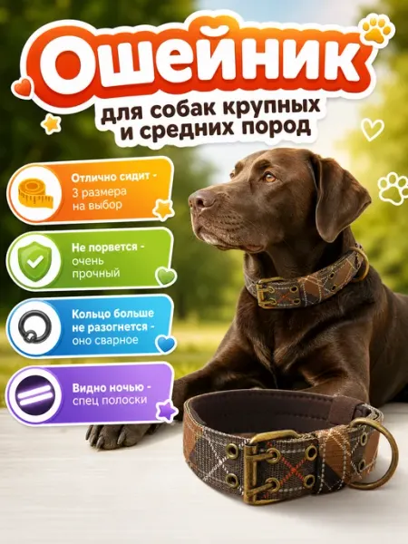 Ошейник для собак крупных и средних пород световозвращающий PETSTEP