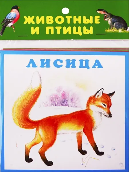 Издательство Искатель Карточки Животные и птицы