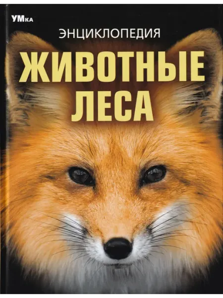 Умка книги Животные леса. Энциклопедия