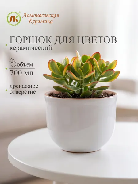 Горшок для цветов, Ломоносовской Керамики, керамический, белый, 700мл