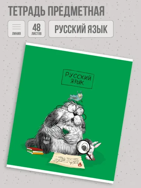 Тетрадь предметная русский язык 48л Феникс+