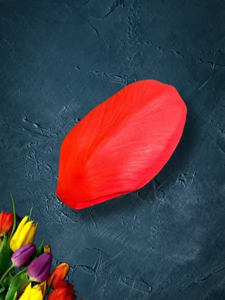 Молд для цветов тюльпана ArtFly