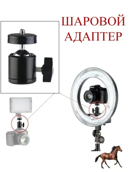 EQUUS Шарнир держатель крепление для фотоаппарата ламп штативов