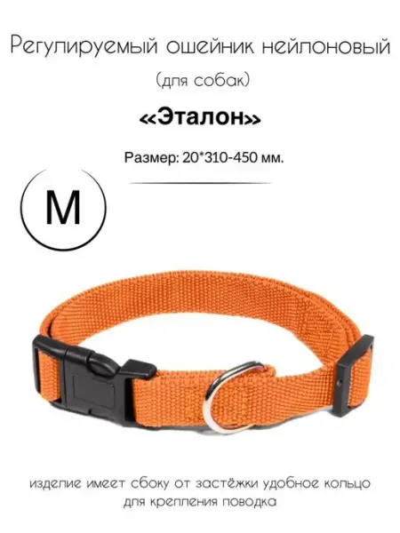 Ошейник нейлоновый для собак "Эталон" M, оранжевый Gamma - товары для животных