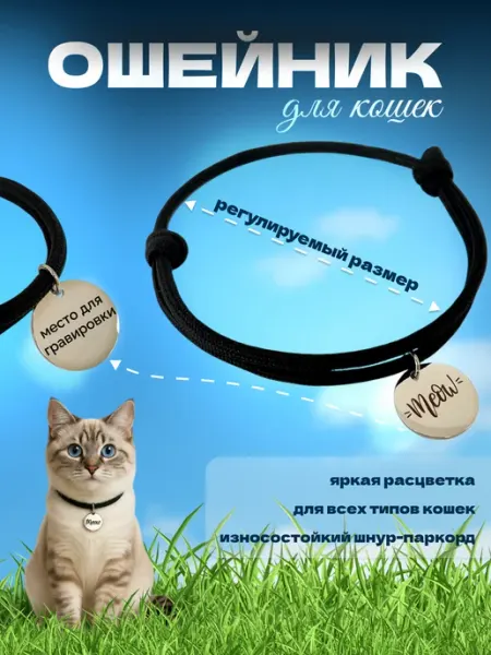 Ошейник с адресником для кошек mollastar