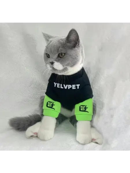 Толстовка для кошек и собак