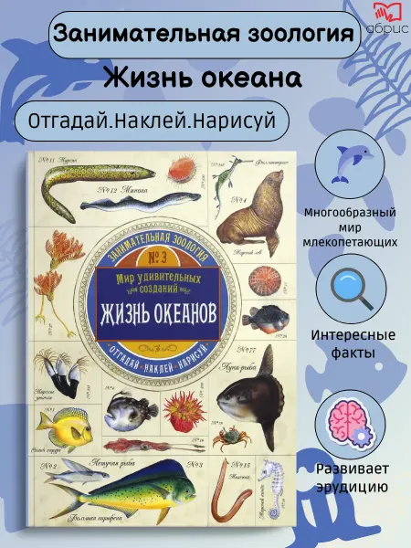 Лабиринт Занимательная зоология. Жизнь океанов