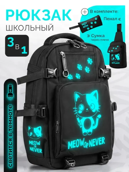 Рюкзак городской черный с пеналом 20л DEFENDER