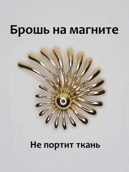 Брошь крупная оригинальная зажим на магните большая Amazing chest