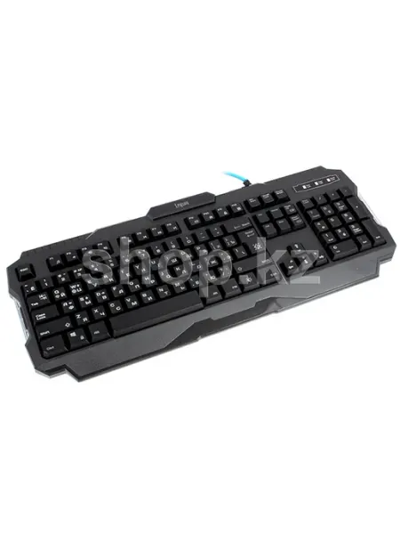 Клавиатура Legion GK-010DL, Black, USB DEFENDER