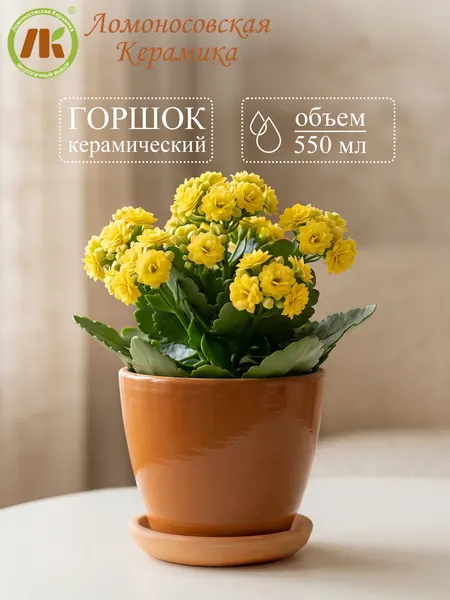 Горшок для цветов с поддоном "Конус" Терракот, d11см, 550мл, керамика