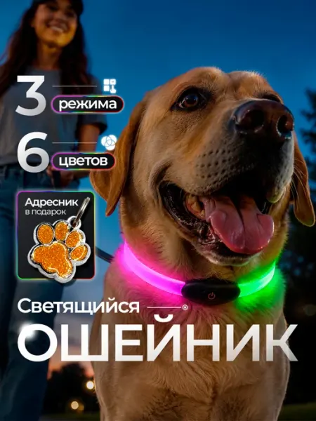 Ошейник светящийся DDogs