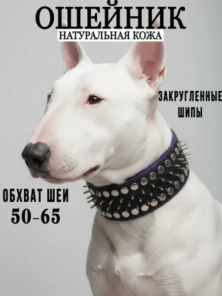 Ошейник с шипами для крупных пород собак, обхват 55-65см Юг-Амуниция