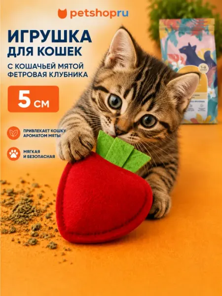 Игрушка для кошек с кошачьей мятой фетровая клубника 5см PetShop