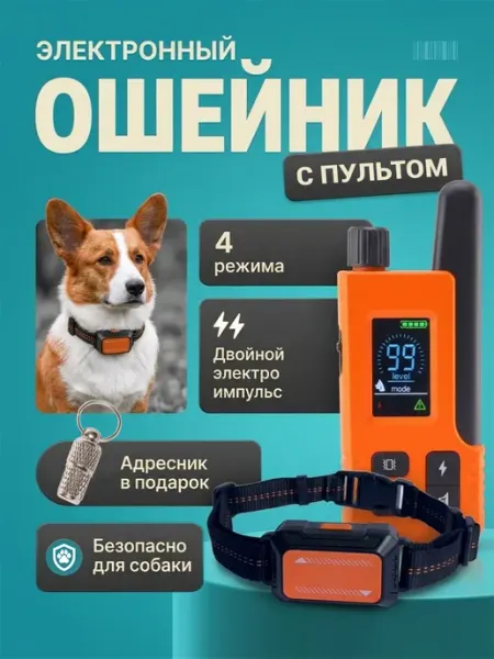 Электронный ошейник для собак с пультом JRJ Pets