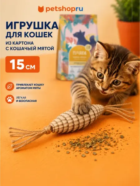 Игрушка для кошек из картона с кошачьей мятой PetShop