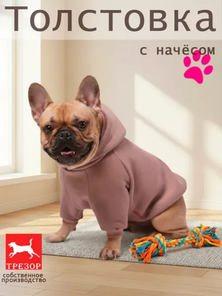 Толстовка для собак с капюшоном французский бульдог мопс Трезор