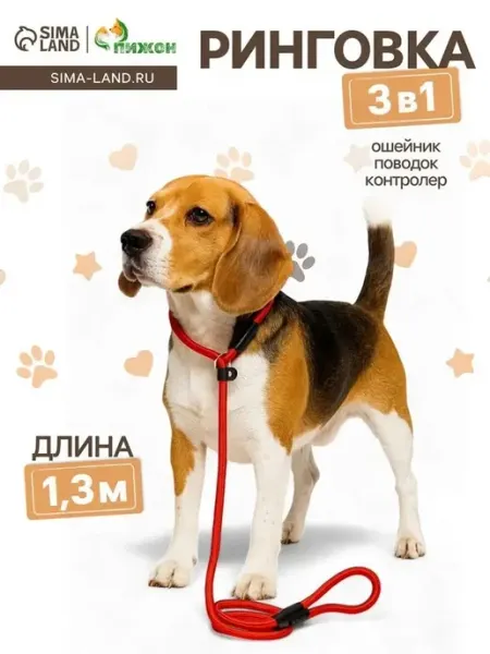 Стильная ринговка для собак всех размеров