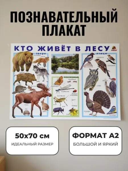 Развивающий плакат А2. Кто живёт в лесу ЛИНГ