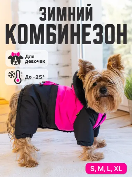 Зимний комбинезон для собак девочек Дуэт Royal Pet