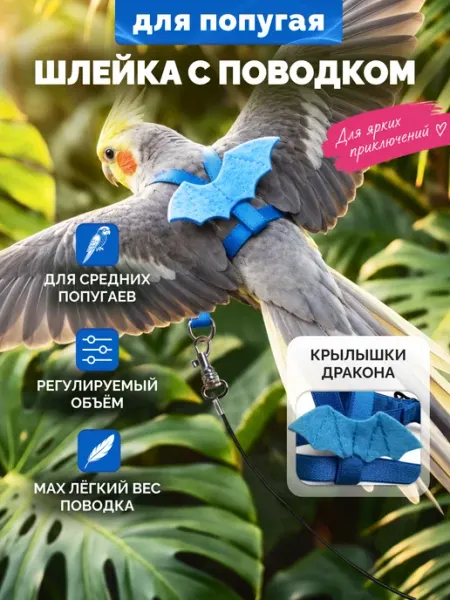 Шлейка с поводком для попугая тыгыкдык