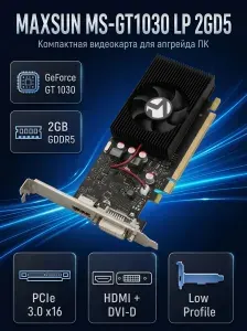 Maxsun Видеокарта MS-GT1030 2 ГБ (MS-GT1030 (LP 2GD5 L0))
