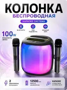 Портативная беспроводная колонка Hopestar 100W с 2 микрофонами bluetooth